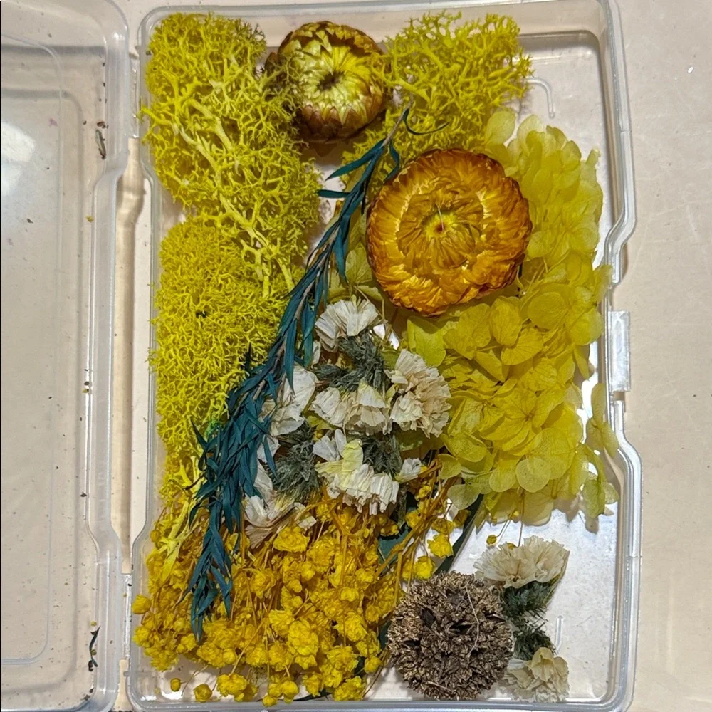 Yellow Dried Floral Mix for Home Accents - Picture 1 of 2